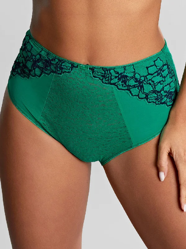 Women's party - wear briefs for a night out Envy Deep Brief In Emerald Leopard - Panache Women's party - wear briefs for a night out Envy Deep Brief In Emerald Leopard - Panache
